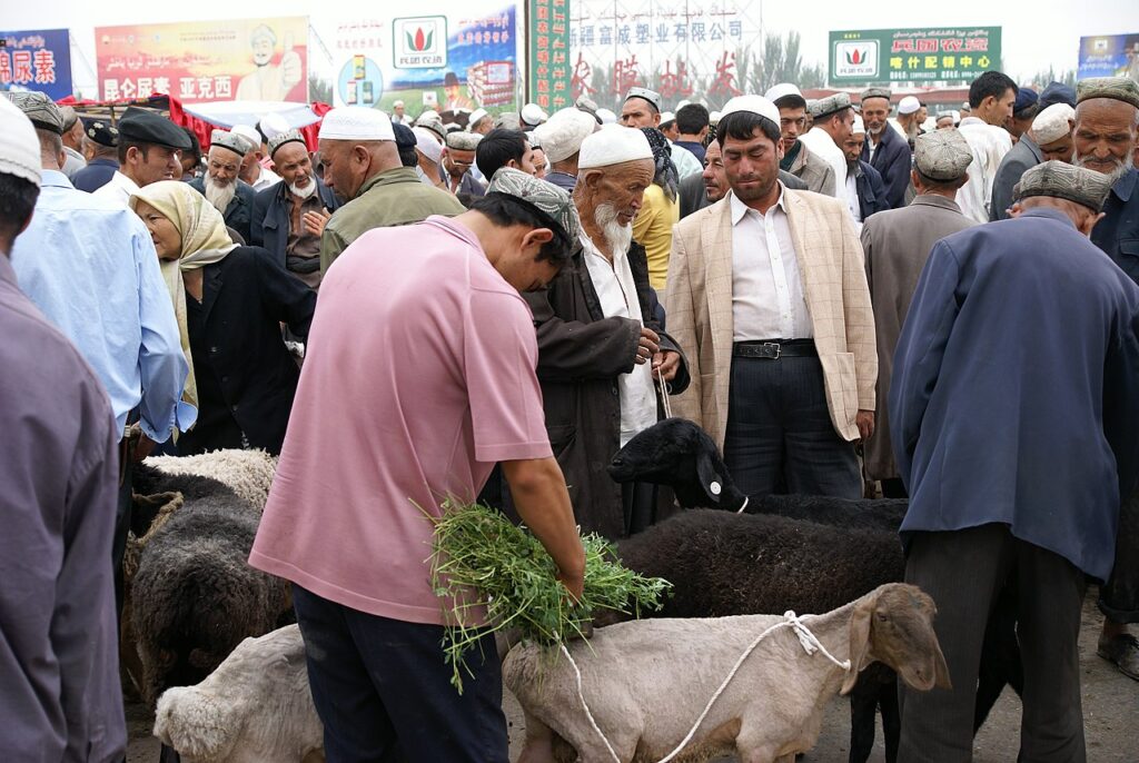 Viehmarkt in Kashgar in der ostchinesischen Provinz Jinjiang. Die Uiguren, ein muslimisches Turkvolk, stehen schwer unter Druck der Regierung in Peking.
